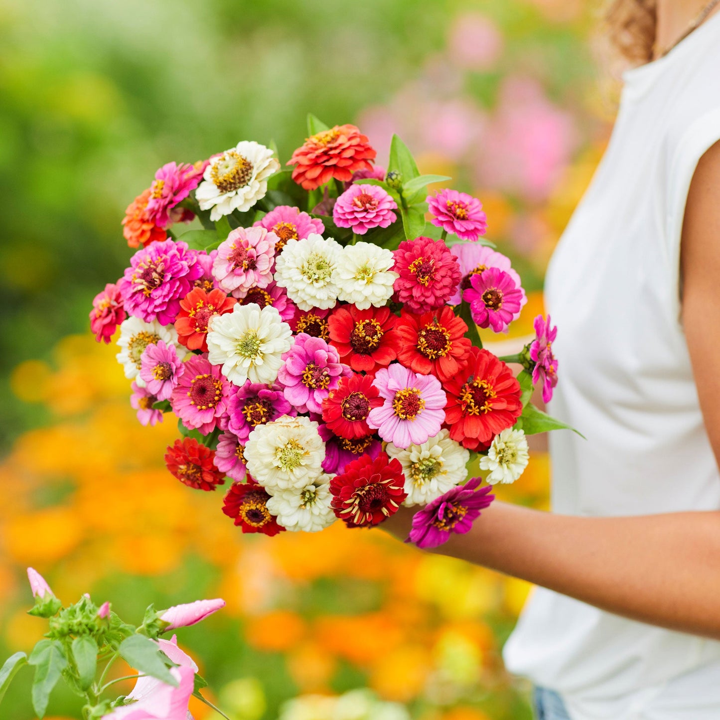 Zinnia Seeds (Dwarf) - Thumbelina